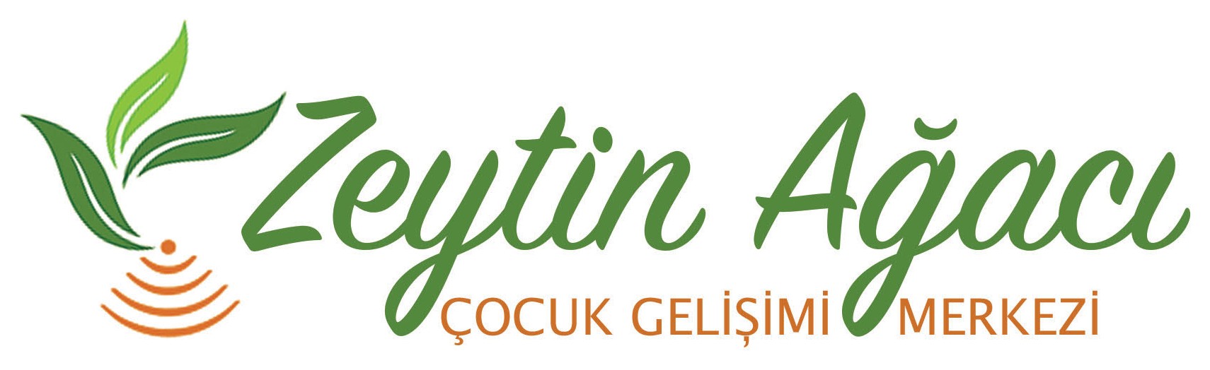 Zeytin Ağacı